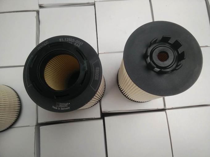 15*15*28cmの1kgトラック ディーゼル フィルター12503-0061ライオンのディーゼル フィルター0